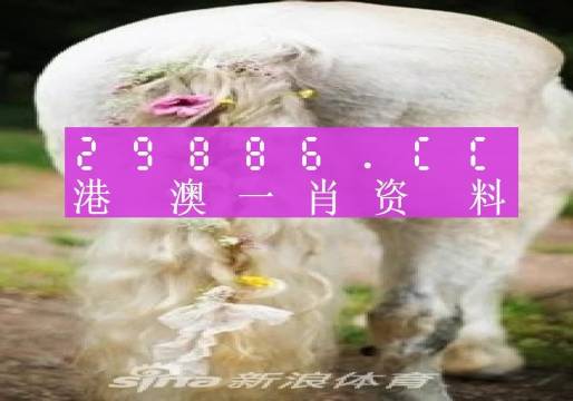 2024年澳门一肖中特_作答解释落实_iPhone版v18.23.13